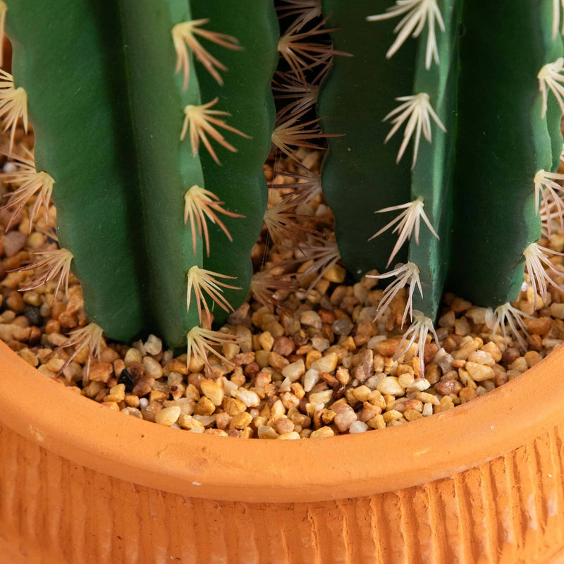 5’ Artificial Cactus in Terracotta Planter, photo 5 of 6