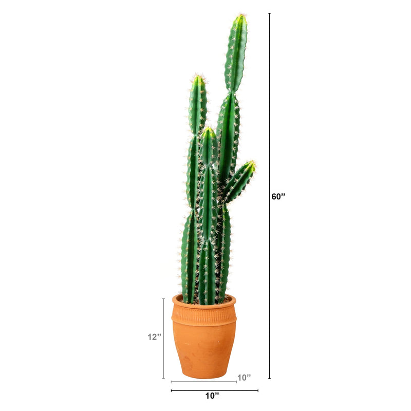 5’ Artificial Cactus in Terracotta Planter, photo 6 of 6