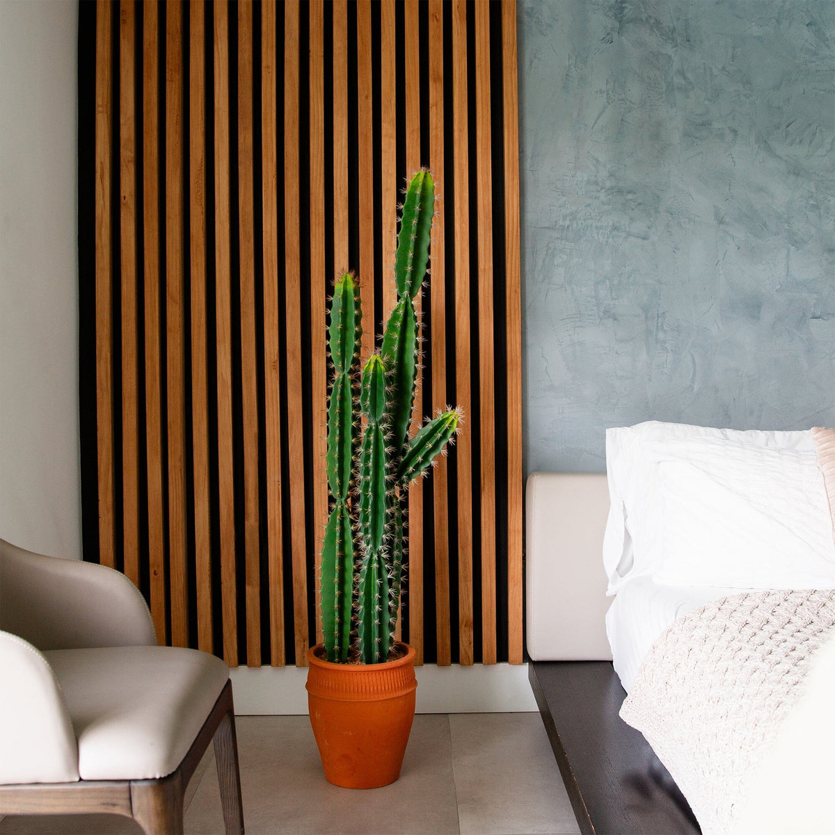 5’ Artificial Cactus in Terracotta Planter, photo 3 of 6