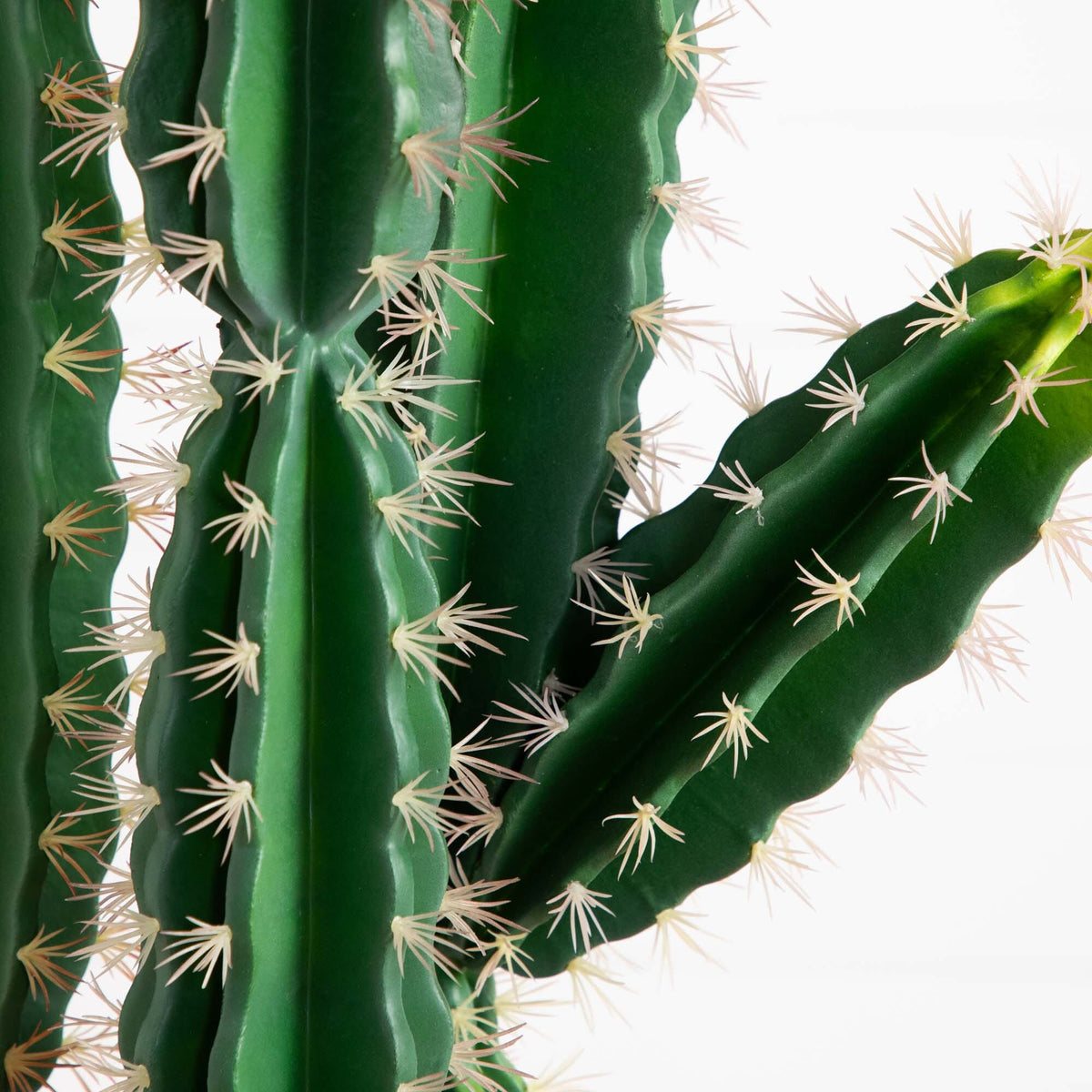 5’ Artificial Cactus in Terracotta Planter, photo 2 of 6