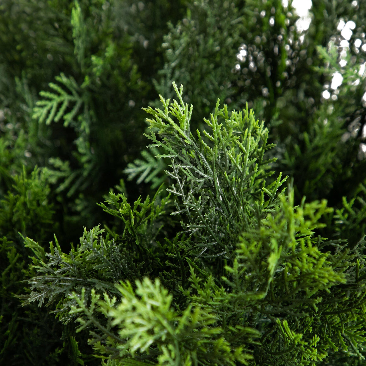 5’ Artificial Cedar Bush UV Resistant (Indoor/Outdoor), photo 2 of 5