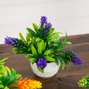 5” Artificial Mini Flowering Plant in White Decorative Oval Planter  - Set of 4