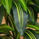 5' Artificial Real Touch Dracaena in Decorative Planter