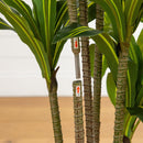 5' Artificial Real Touch Dracaena in Decorative Planter
