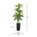 5' Artificial Real Touch Dracaena in Decorative Planter