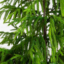5' Artificial Real Touch Norfolk Island Pine in Metal Tin Planter with Natural Look