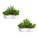 5" Artificial Succulent Garden in Ceramic White Planter -Set of 2
