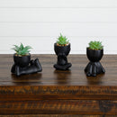 5" Artificial Succulent Plants in Plyaful Decorative Black Planters - Set of 3