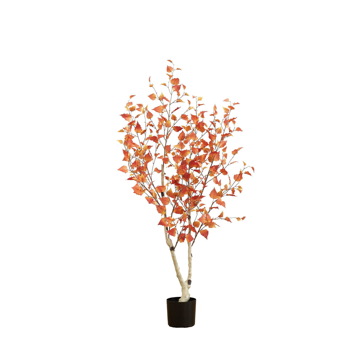 5’ Autumn Birch Artificial Fall Tree, photo 6 of 6