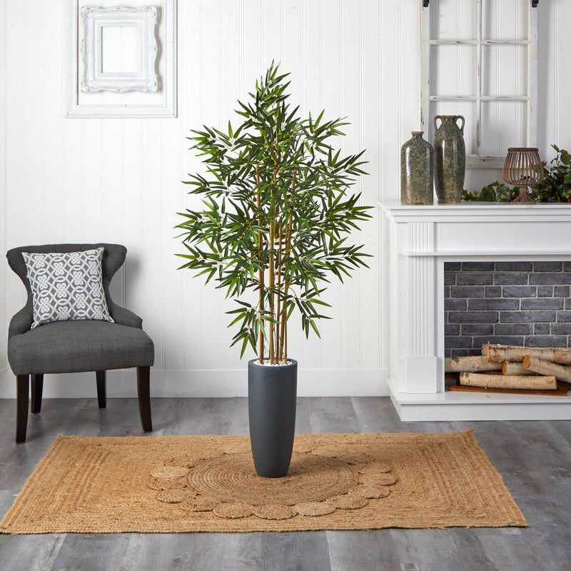 5’ Bamboo Tree in Gray Cylinder Planter, photo 4 of 5