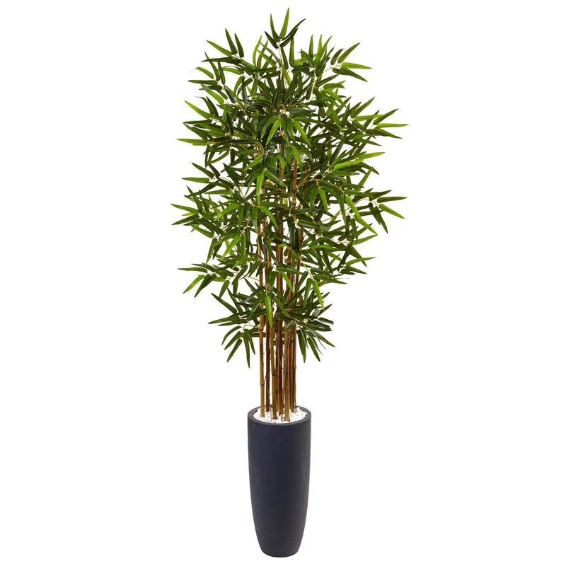 5’ Bamboo Tree in Gray Cylinder Planter, photo 5 of 5