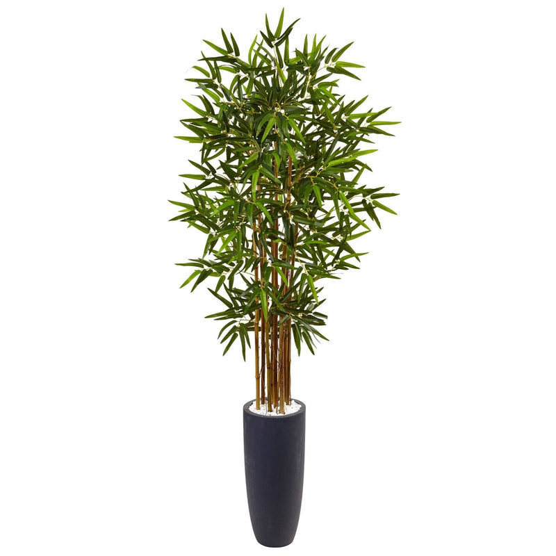 5’ Bamboo Tree in Gray Cylinder Planter