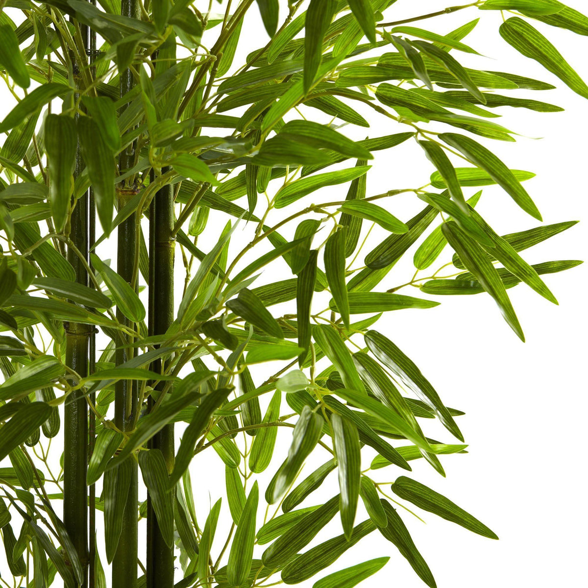 5' Bamboo Tree UV Resistant (Indoor/Outdoor), photo 2 of 2