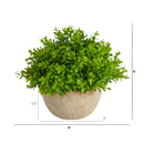 5” Boxwood Artificial Plant in Decorative Planter
