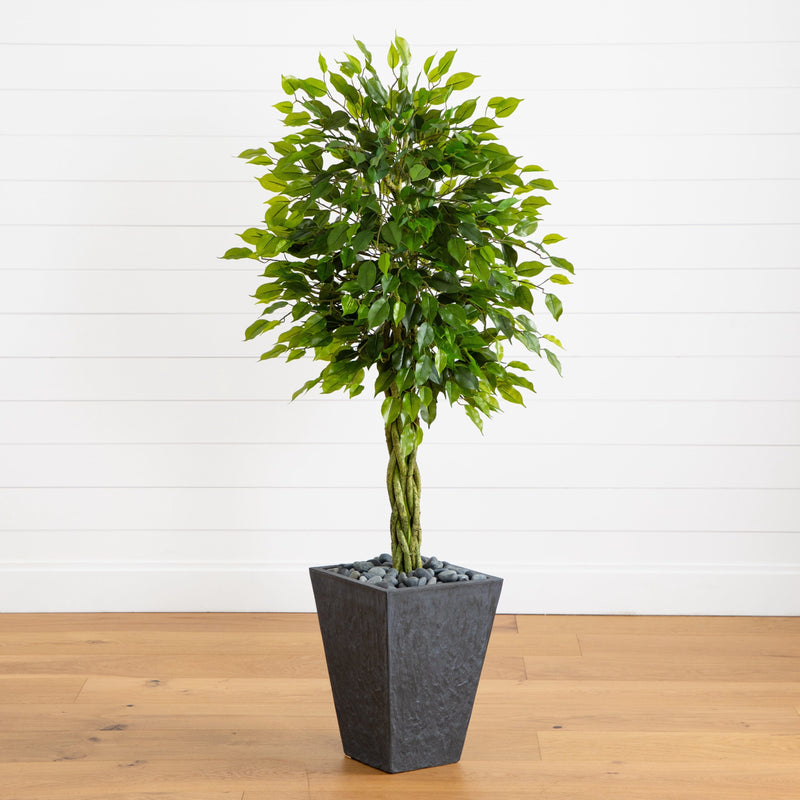 5’ Braided Ficus Artificial Tree in Slate Planter(Indoor/Outdoor)