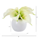 5” Calla Lily Artificial Arrangement in Vase (Set of 2)