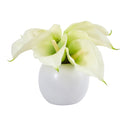 5” Calla Lily Artificial Arrangement in Vase (Set of 2)