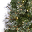 5' Cashmere Slim Artificial Christmas Tree with 250 Warm White Lights and 408 Bendable Branches