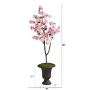 5’ Cherry Blossom Tree in Charcoal Urn
