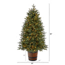 5' Colorado Aspen Pre-Lit Porch Artificial Christmas Tree
