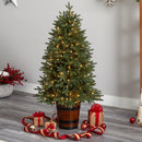 5' Colorado Aspen Pre-Lit Porch Artificial Christmas Tree
