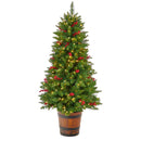 5' Colorado Aspen Pre-Lit Porch Artificial Christmas Tree