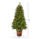 5' Colorado Aspen Pre-Lit Porch Artificial Christmas Tree