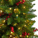 5' Colorado Aspen Pre-Lit Porch Artificial Christmas Tree