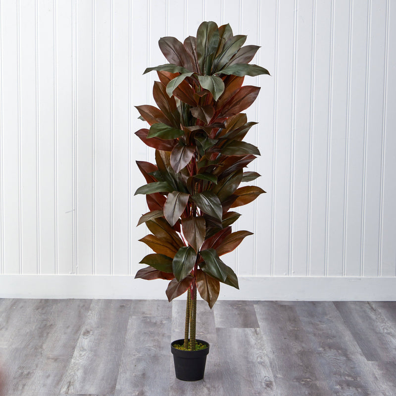 5' Cordyline Silk Plant (Real Touch), photo 3 of 3