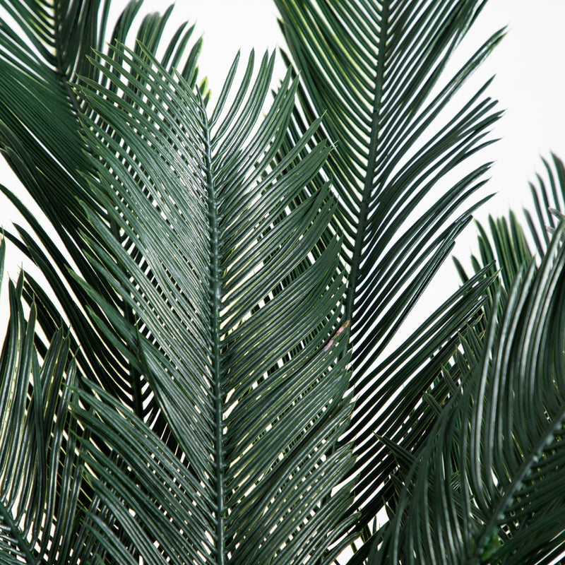5’ Cycas Tree UV Resistant (In-door/Out-Door), photo 3 of 5