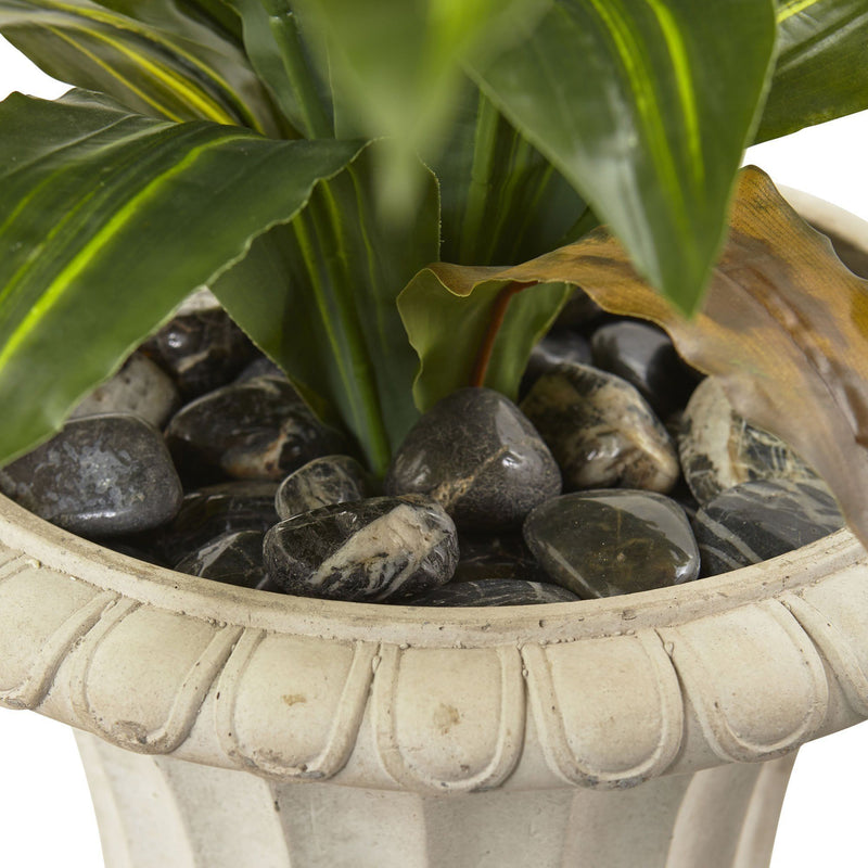 5’ Dracaena Plant with Urn (Real Touch), photo 2 of 2