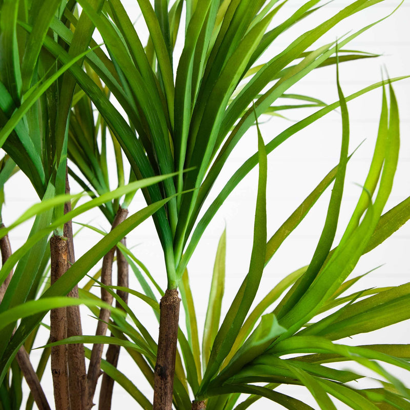 5’ Dracaena Silk Tree, photo 2 of 4