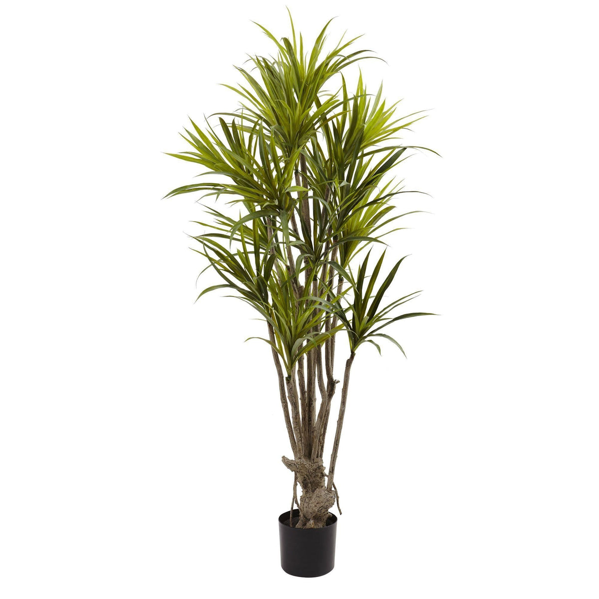 5’ Dracaena Silk Tree, photo 4 of 4