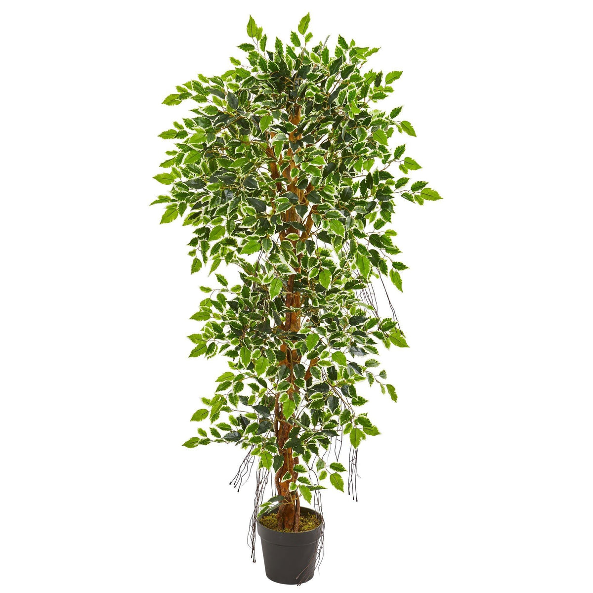 5’ Elegant Ficus Artificial Tree, photo 4 of 4