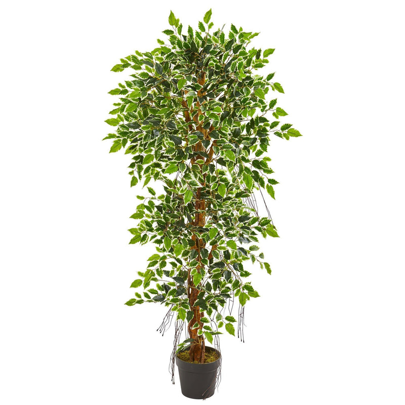 5’ Elegant Ficus Artificial Tree, photo 4 of 4