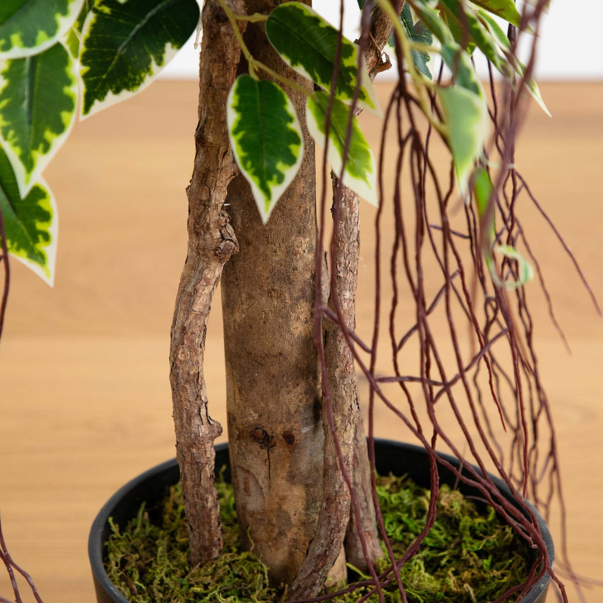 5’ Elegant Ficus Artificial Tree, photo 3 of 4
