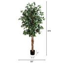 5' Ficus Silk Tree by Nearly Natural