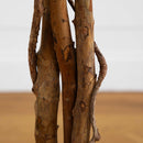 5' Ficus Silk Tree by Nearly Natural