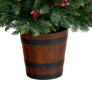 5' Frosted Colorado Aspen Pre-Lit Porch Artificial Christmas Tree