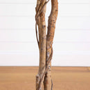 5' Artificial Halloween Black Ficus Tree with Natural Trunk