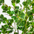5' Artificial Heart Shaped Ficus Leaf Tree