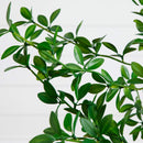 5' Artificial Shady Lady Black Olive Tree