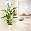 5' Artificial Zamioculcas Plant