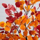5' Pre-Lit Bright Autumn Eucalyptus Artificial Fall Tree with 300 Warm White LED Lights