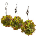 5” Mixed Succulent Hanging Ball (Set of 3)