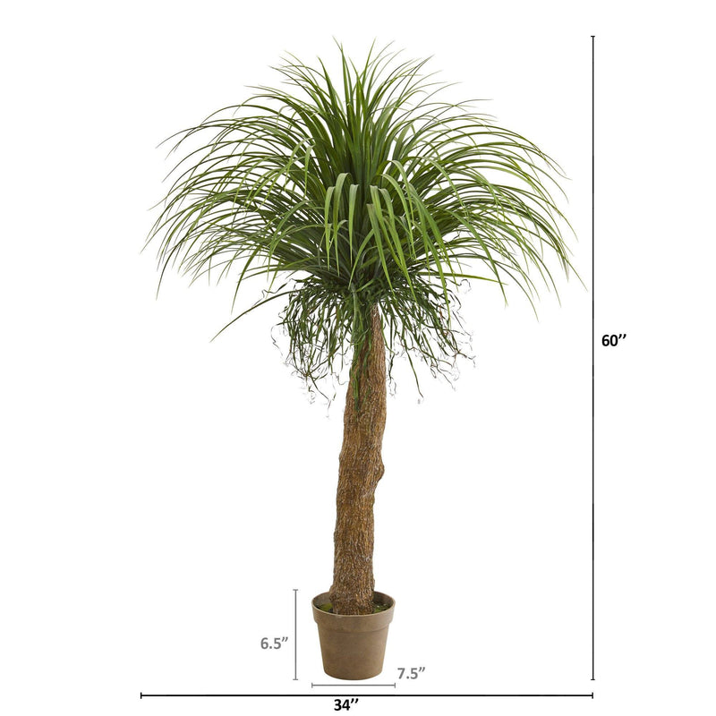 5’ Molina Artificial Plant, photo 2 of 2
