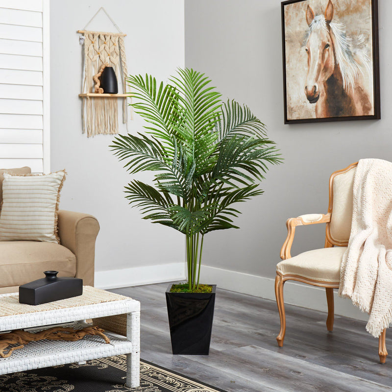 5’ Paradise Palm Artificial Tree in Black Metal Planter