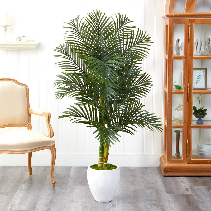 5’ Paradise Palm Artificial Tree in White Planter with Faux Moss