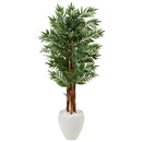 5’ Parlor Palm Tree in White Oval Planter