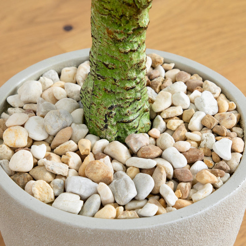 5’ Plumeria Artificial Tree in Decorative Planter (Indoor/Outdoor)